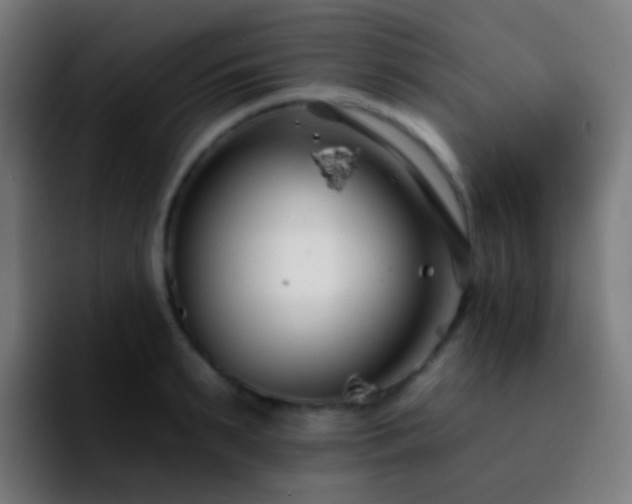 X0000092260895200709211117