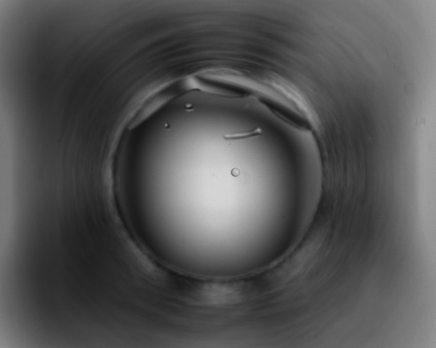 X0000092260898200709211117