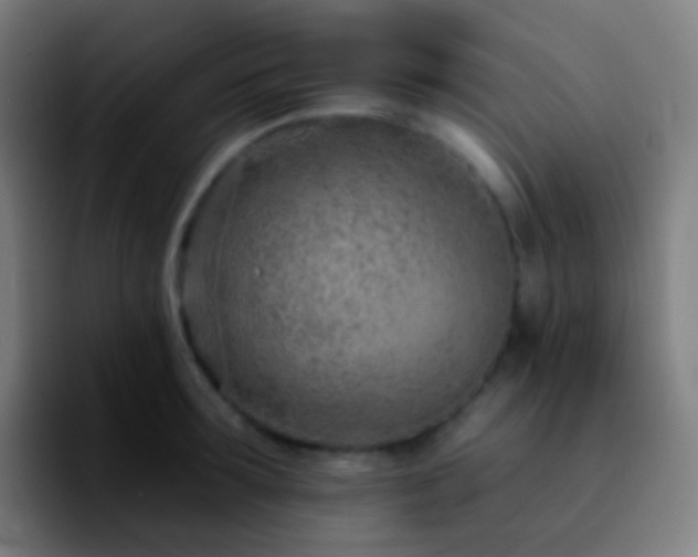 X0000092260899200709211117