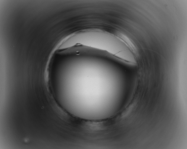 X0000092260900200709211117