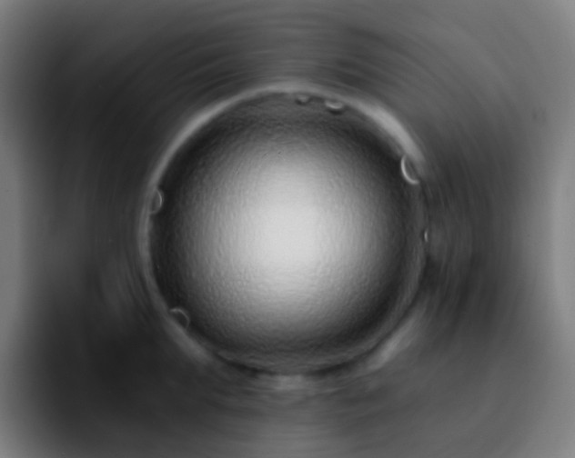 X0000092260903200709211117