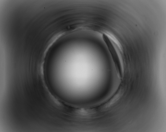 X0000092260906200709211117