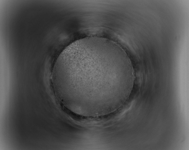 X0000092260913200709211116