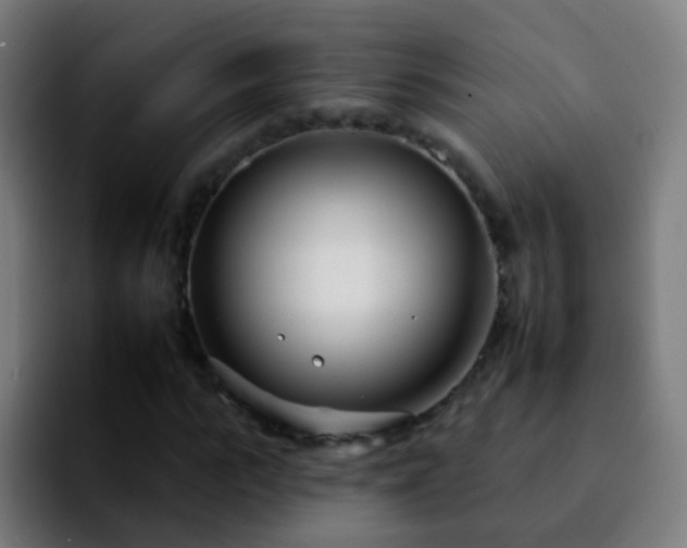 X0000092260919200709211116