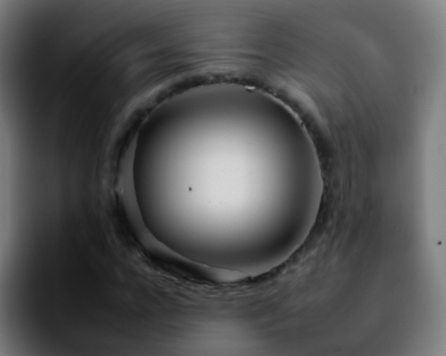 X0000092260920200709211116