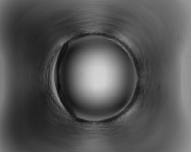 X0000092260922200709211116