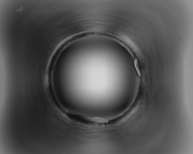 X0000092260924200709211116