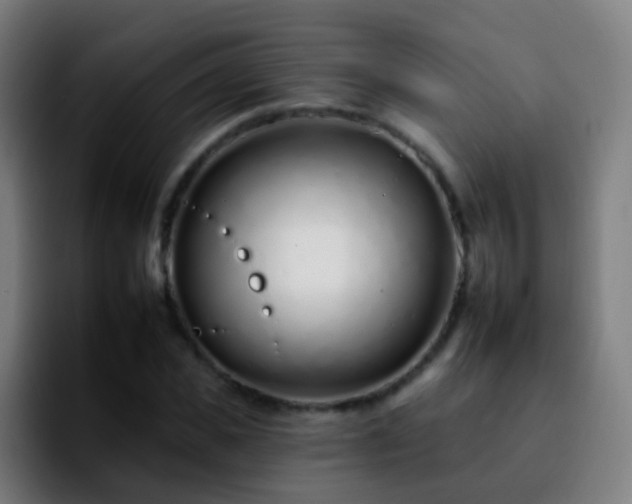 X0000092260925200709211116