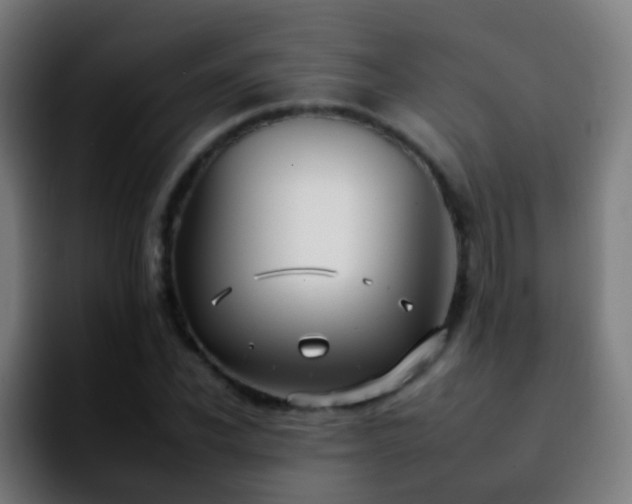 X0000092260926200709211116