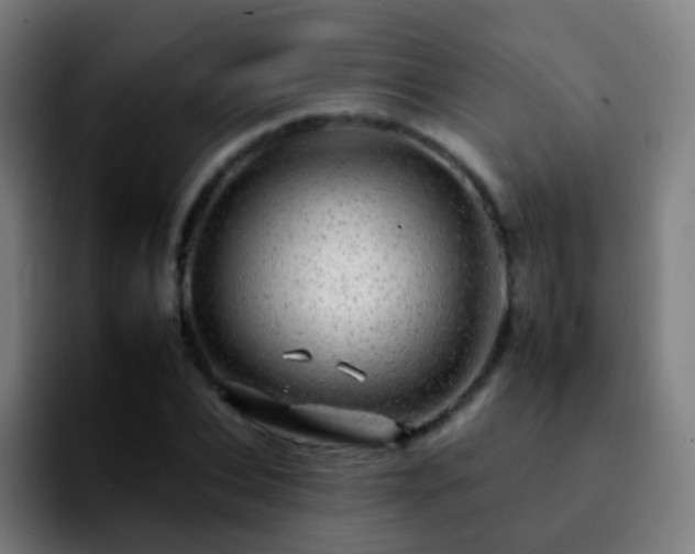 X0000092260927200709211116