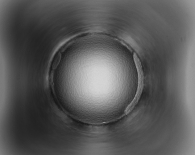 X0000092260928200709211116