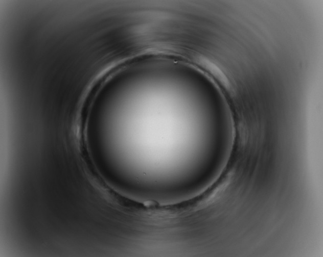 X0000092260931200709211116