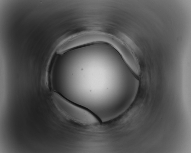 X0000092260932200709211116