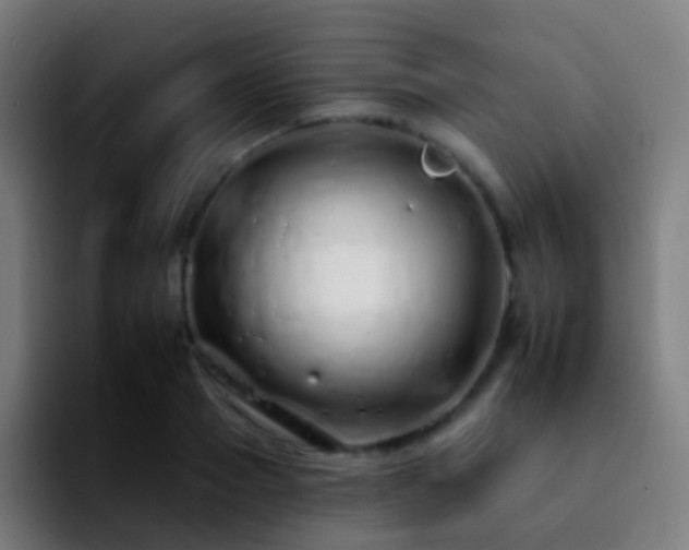 X0000092260937200709211117