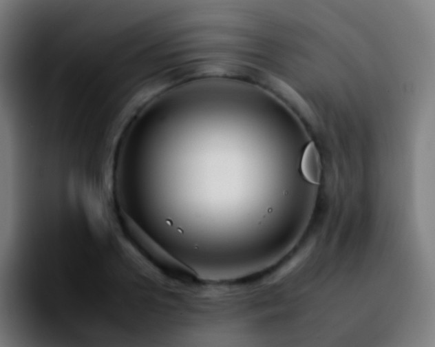 X0000092260938200709211117