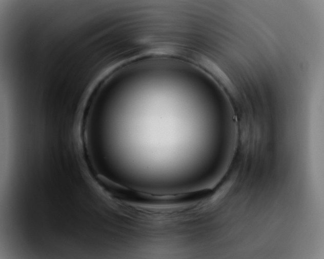 X0000092260939200709211117