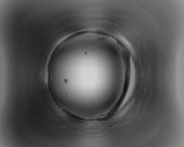 X0000092260940200709211117