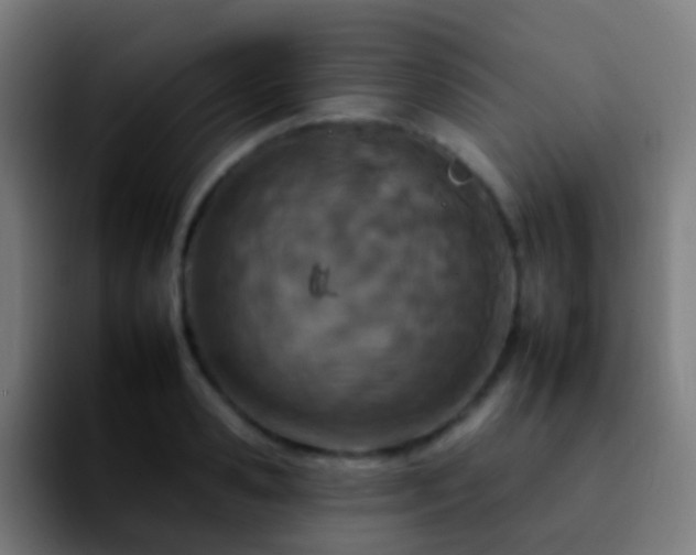 X0000092260941200709211117