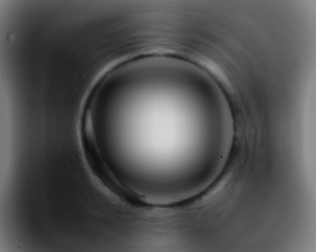 X0000092260942200709211117