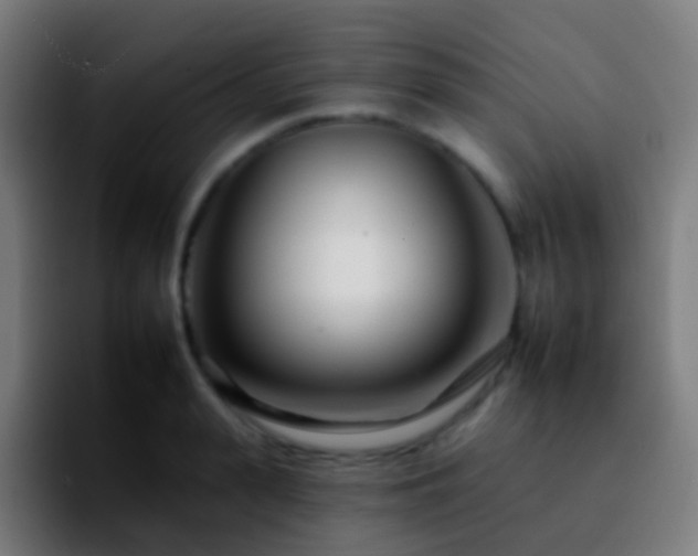 X0000092260943200709211117