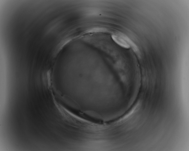 X0000092260945200709211117