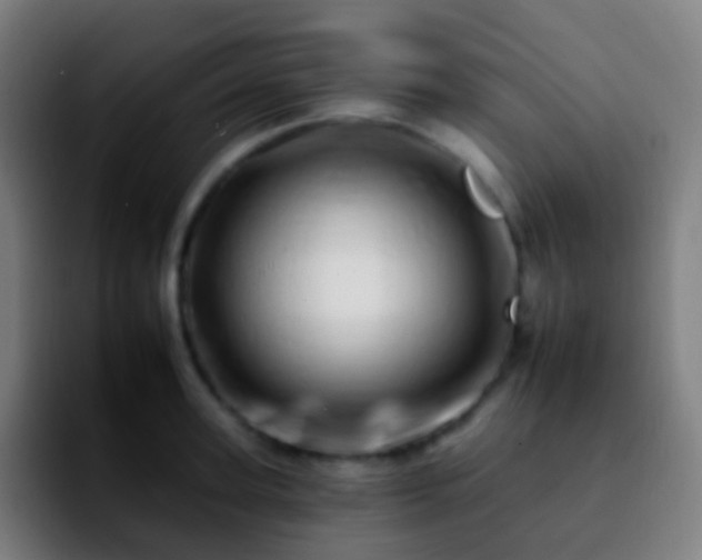 X0000092260947200709211117