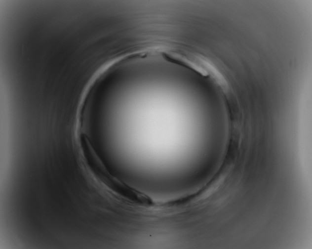 X0000092260948200709211117