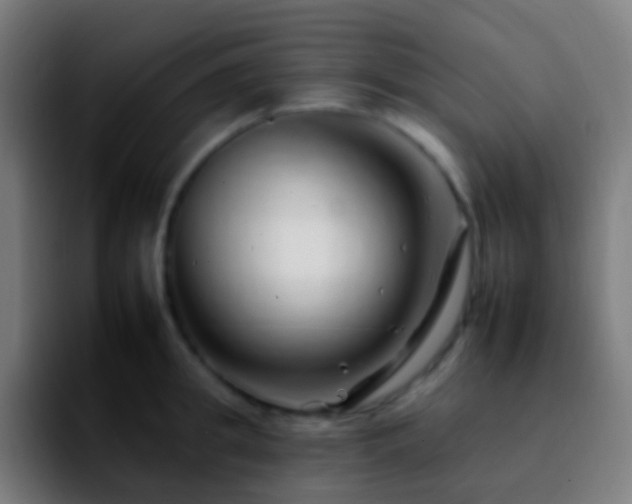 X0000092260949200709211117