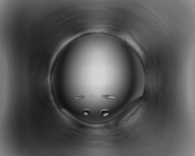 X0000092260951200709211117