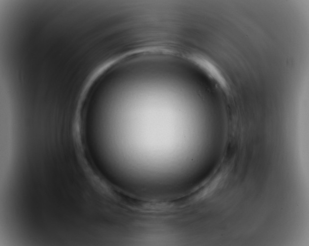 X0000092260952200709211117