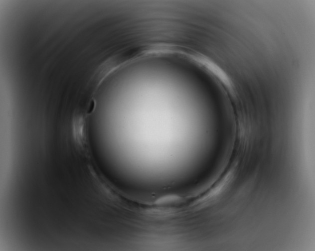 X0000092260953200709211117