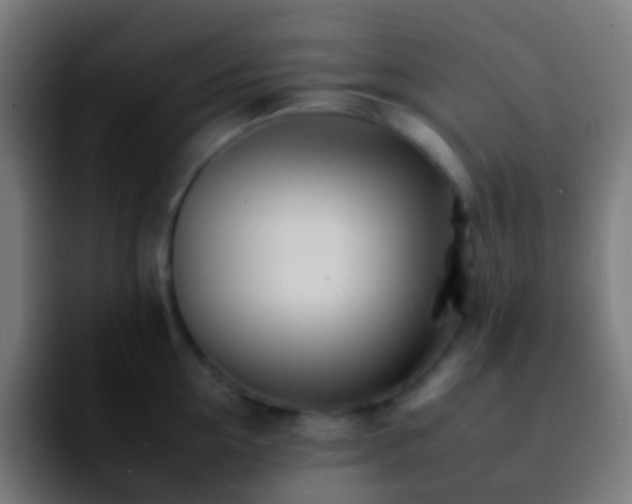 X0000092260954200709211117