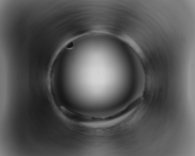 X0000092260955200709211117