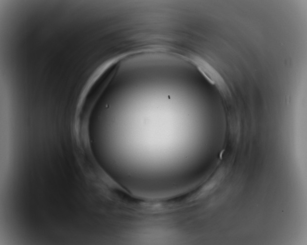 X0000092260956200709211117