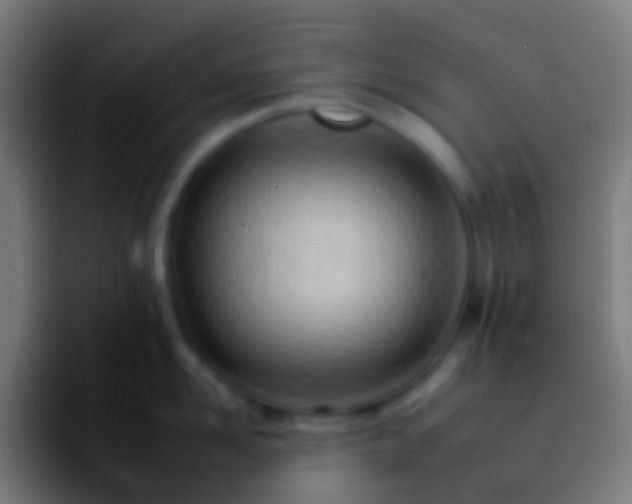 X0000092260958200709211117