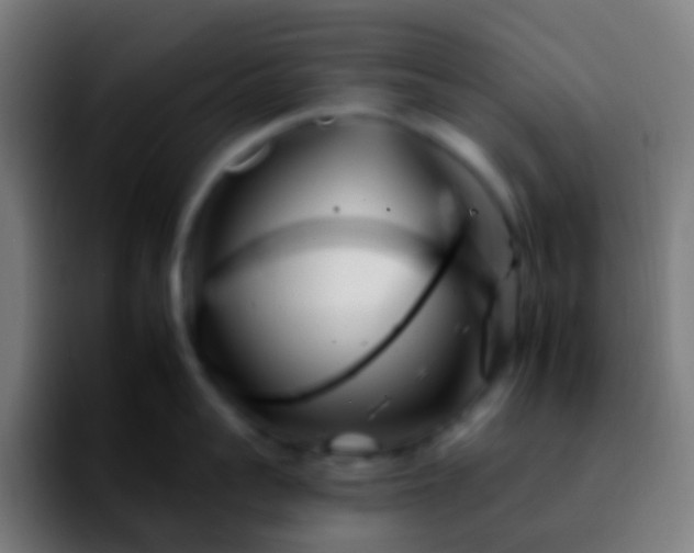 X0000092260959200709211117