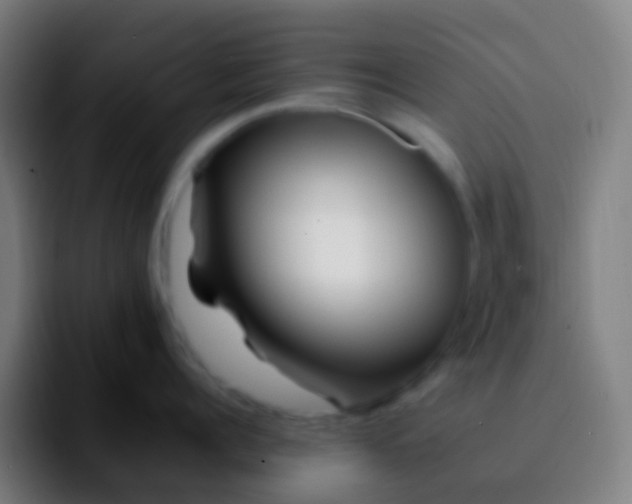 X0000092260960200709211117