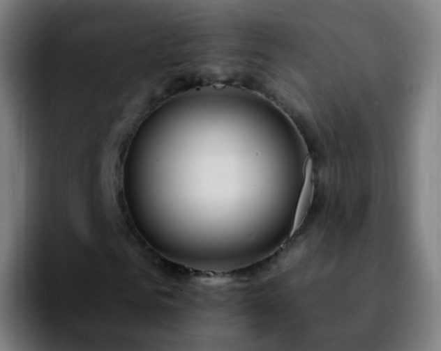 X0000092260961200709211116