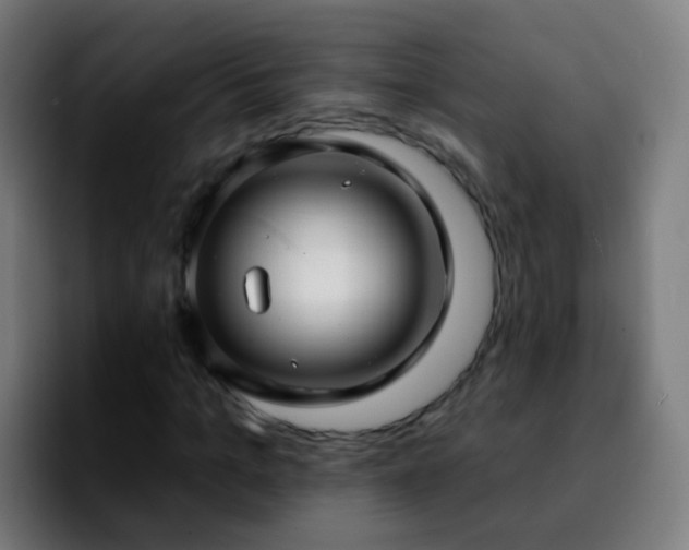 X0000092260965200709211116