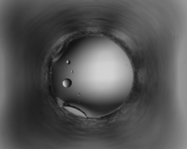 X0000092260968200709211116