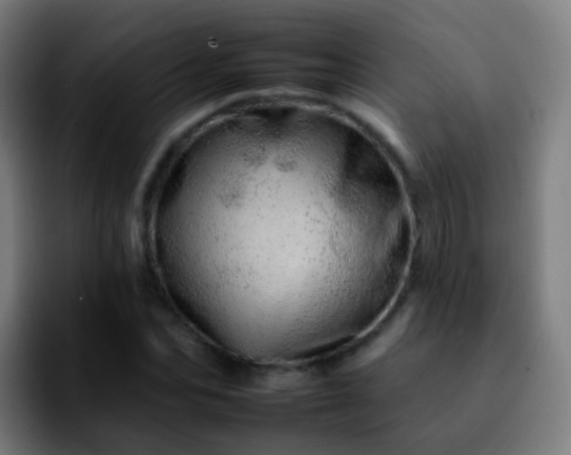 X0000092260974200709211116