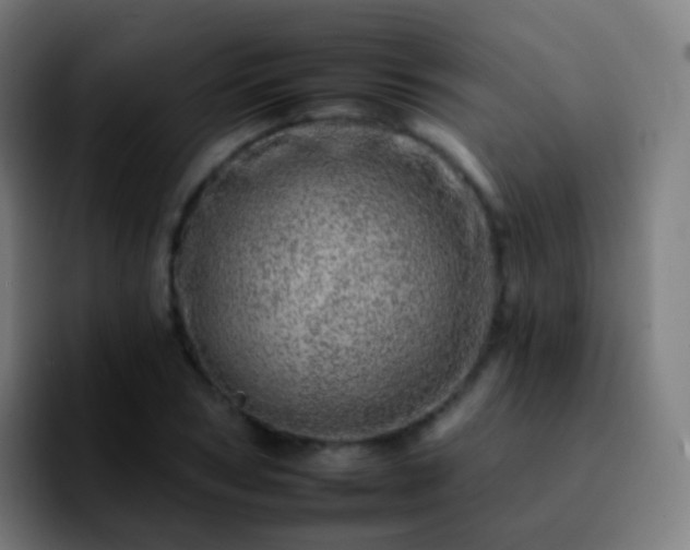 X0000092260978200709211116