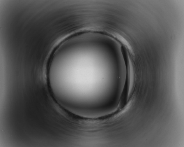 X0000092260981200709211116