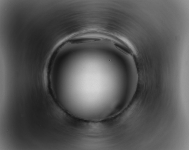 X0000092260983200709211116