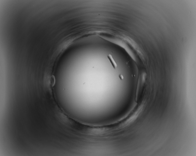 X0000092260985200709211116