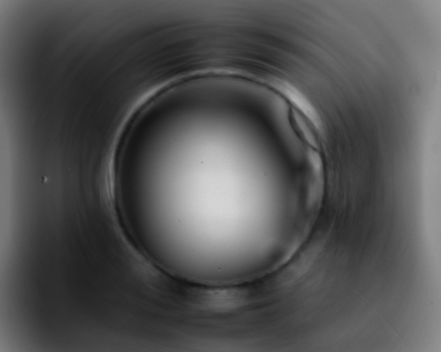 X0000092260988200709211116