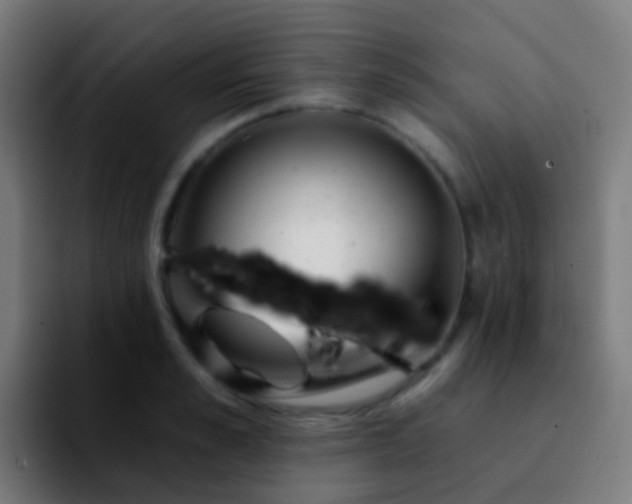 X0000092260989200709211116