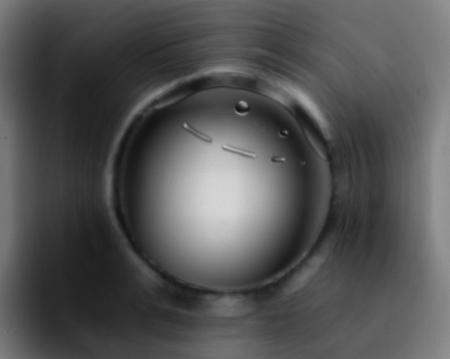 X0000092260991200709211116