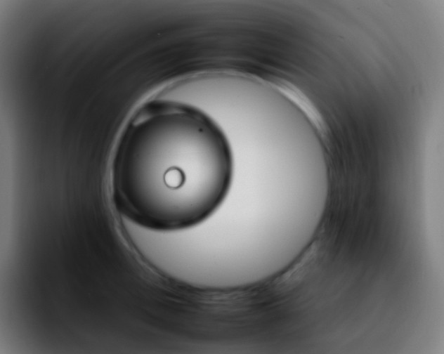 X0000092260996200709211116