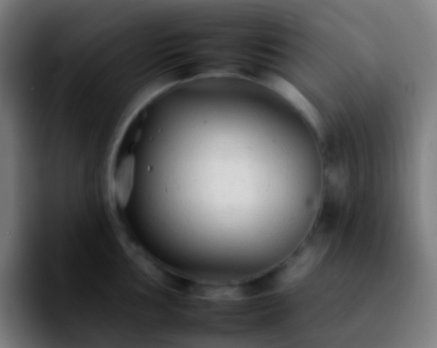 X0000092261002200709211116
